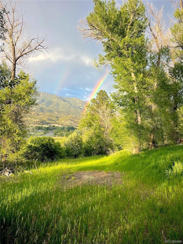 35 Shillelagh Pl, Howard, CO 81233 - photo 41
