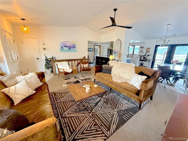 35 Shillelagh Pl, Howard, CO 81233 - photo 5