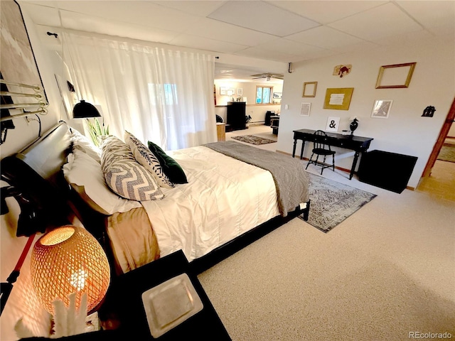 35 Shillelagh Pl, Howard, CO 81233 - photo 22