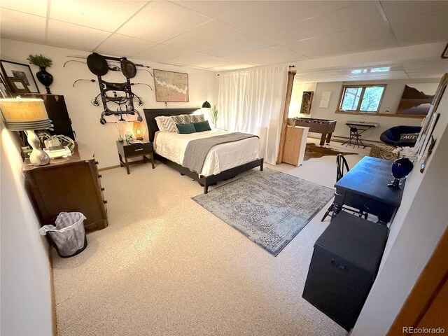35 Shillelagh Pl, Howard, CO 81233 - photo 23