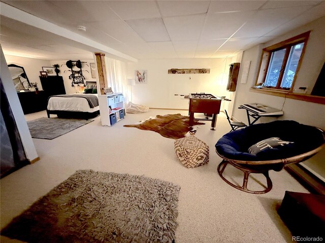 35 Shillelagh Pl, Howard, CO 81233 - photo 25