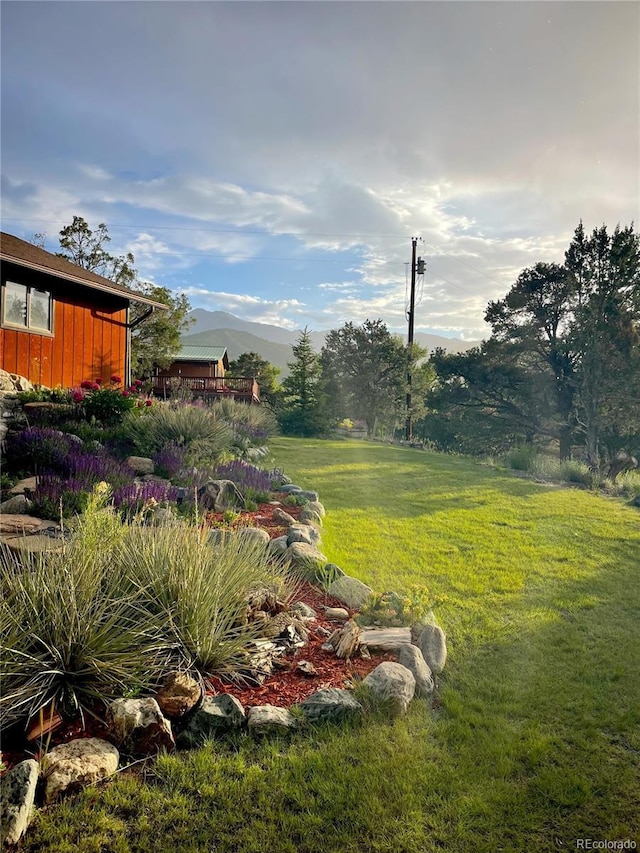 35 Shillelagh Pl, Howard, CO 81233 - photo 33