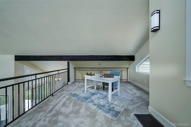 9163 N Palomino Dr, Castle Rock, CO 80108 - photo 32