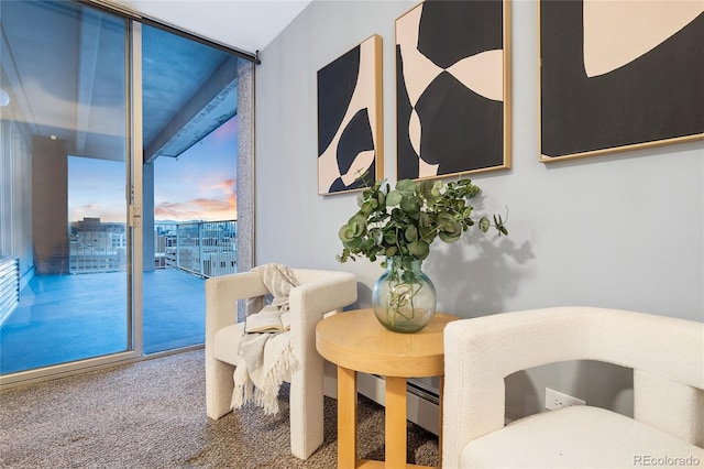 dining area featuring expansive windows and carpet