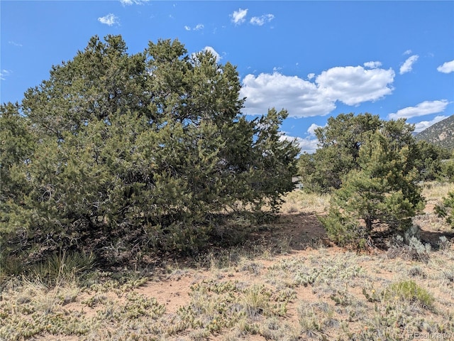 3213 Enchanted Ct, Crestone, CO 81131