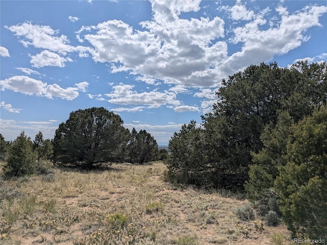 3213 Enchanted Ct, Crestone, CO 81131