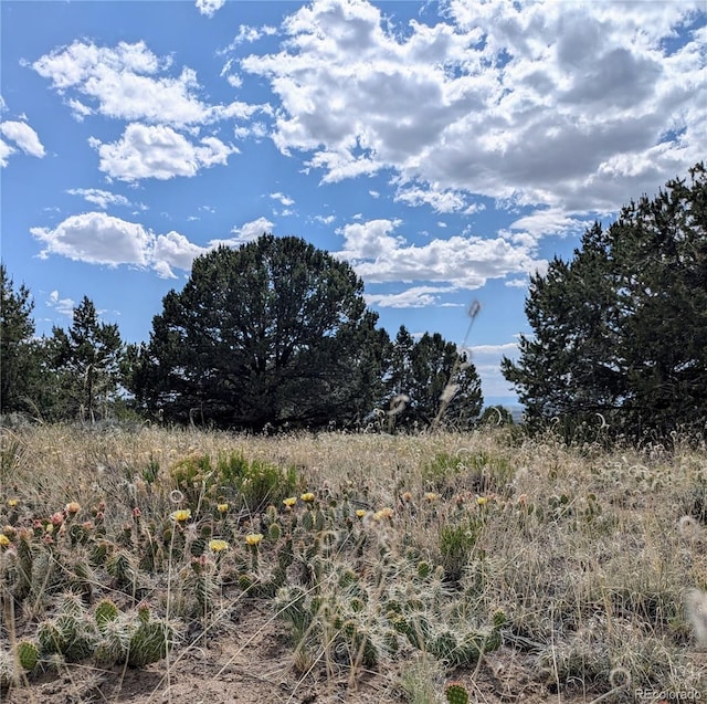 3213 Enchanted Ct, Crestone, CO 81131