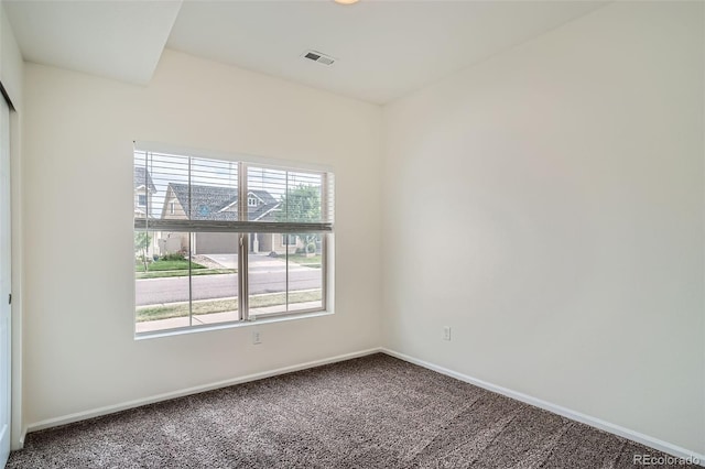 4404 Walden St, Denver, CO 80249 - photo 15