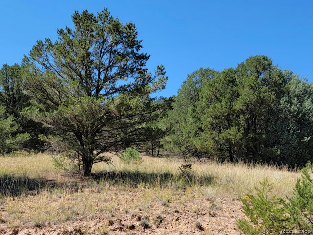 Listing photo 3 for 2065 Indian Wells Rd, Cotopaxi CO 81223