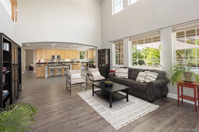 1445 Jesse Ln, Golden, CO 80403 - photo 15