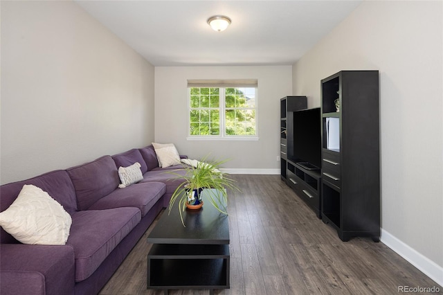 1445 Jesse Ln, Golden, CO 80403 - photo 18