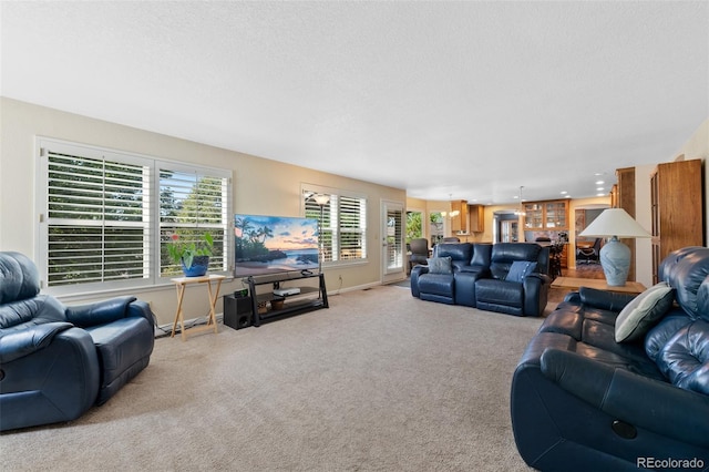 carpeted living room with a textured ceiling