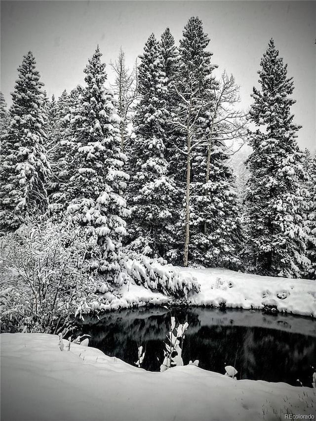 80 Castlewood Ct, Evergreen, CO 80439 - exterior view of heating fuel tank
