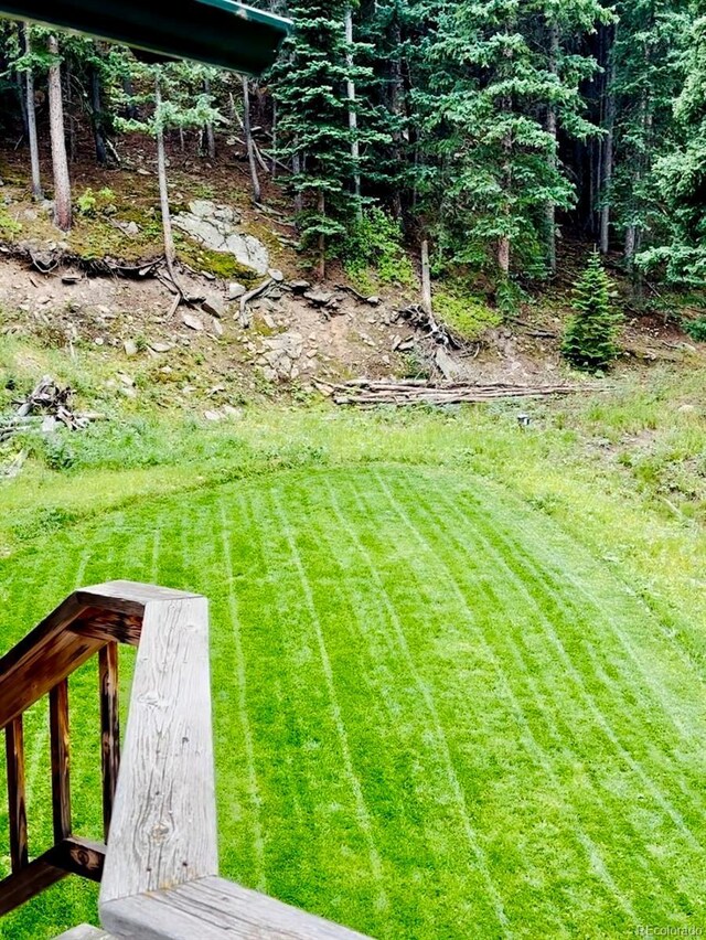 80 Castlewood Ct, Evergreen, CO 80439 - view of green lawn