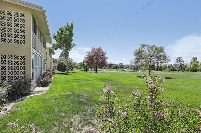 625 S Clinton St Unit 7A, Denver, CO 80247 - view of green lawn