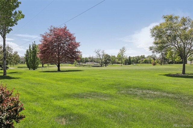 625 S Clinton St Unit 7A, Denver, CO 80247 - view of community featuring a lawn