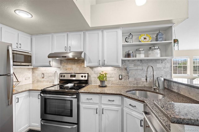 kitchen with stainless steel appliances, under cabinet range hood, a sink, and white cabinets