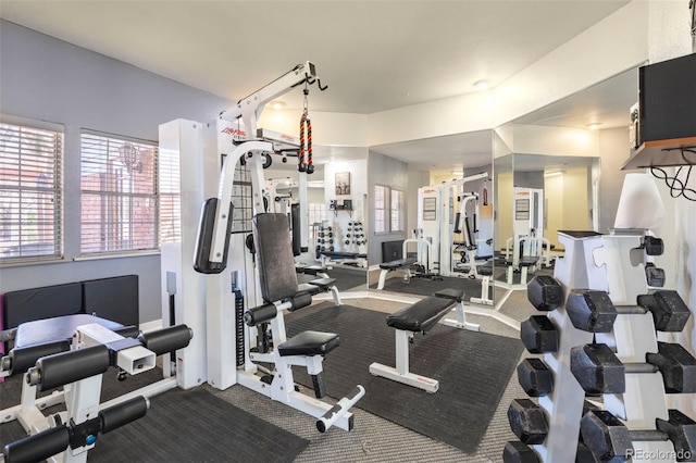 exercise room featuring carpet flooring