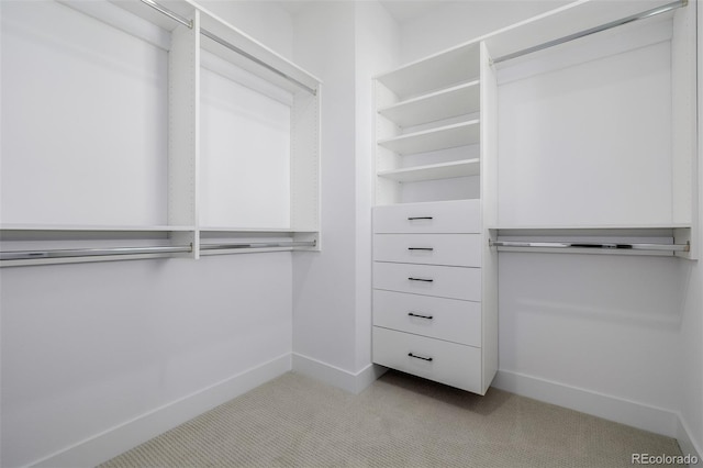 spacious closet with light colored carpet
