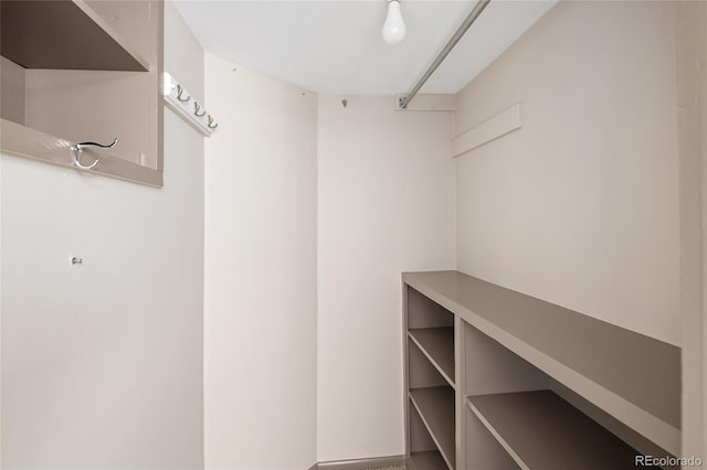 1838 S Williams St, Denver, CO 80210 - view of walk in closet