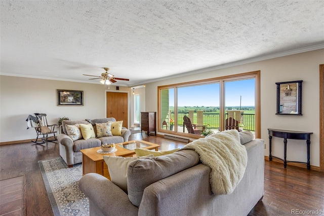12891 County Road 29, Sterling, CO 80751 - living area with a textured ceiling, crown molding, a ceiling fan, dark wood finished floors, and a baseboard heating unit