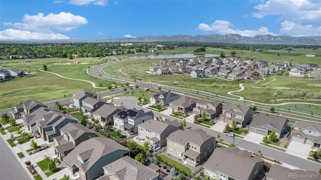 1195 Fox Hills Ct, Erie, CO 80516 - photo 34