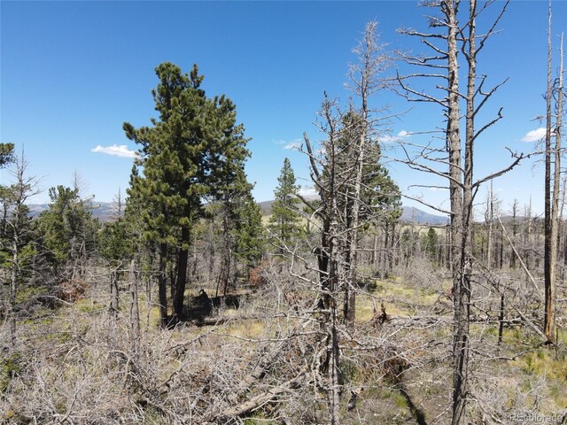 2169 Hayden Ln, Fort Garland, CO 81133 - photo 6
