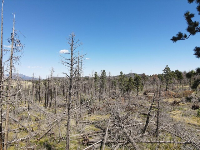 2169 Hayden Ln, Fort Garland, CO 81133 - photo 7