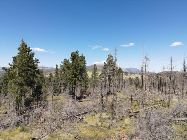 2169 Hayden Ln, Fort Garland, CO 81133 - photo 8