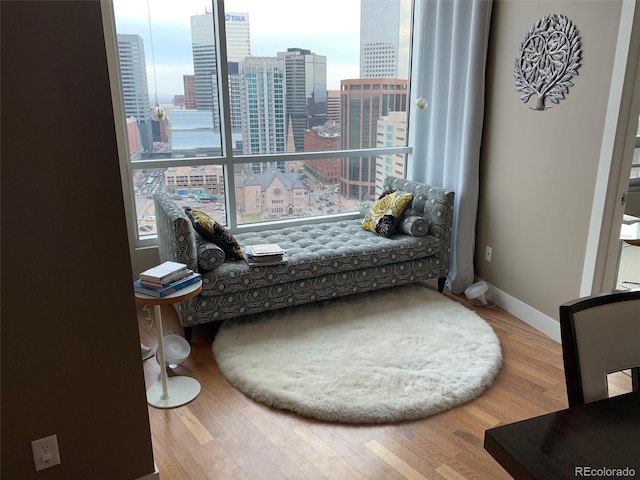 sitting room featuring hardwood / wood-style flooring