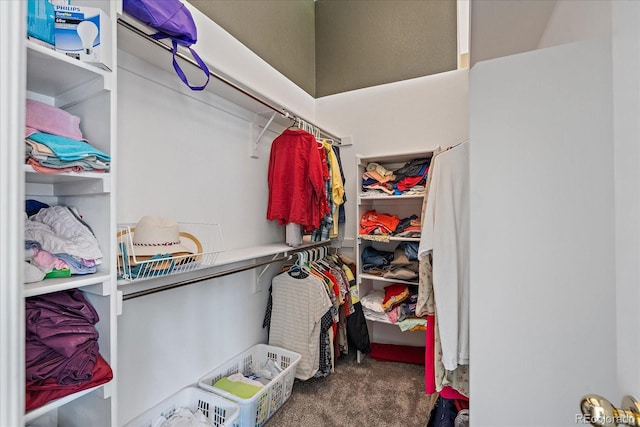 5932 S Versailles St, Aurora, CO 80015 - spacious closet with carpet