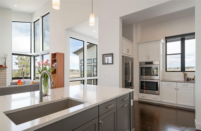 8765 Canyon Wind St, Parker, CO 80138 - kitchen featuring appliances with stainless steel finishes, light countertops, dark wood finished floors, decorative light fixtures, and plenty of natural light