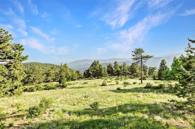 3965 Douglas Mountain Dr, Golden, CO 80403 - photo 43