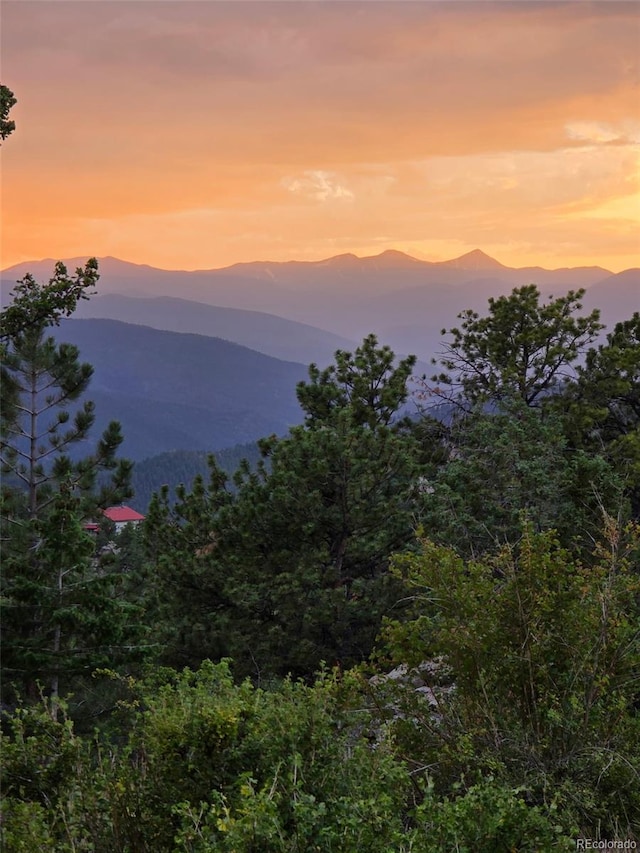 3965 Douglas Mountain Dr, Golden, CO 80403 - photo 3
