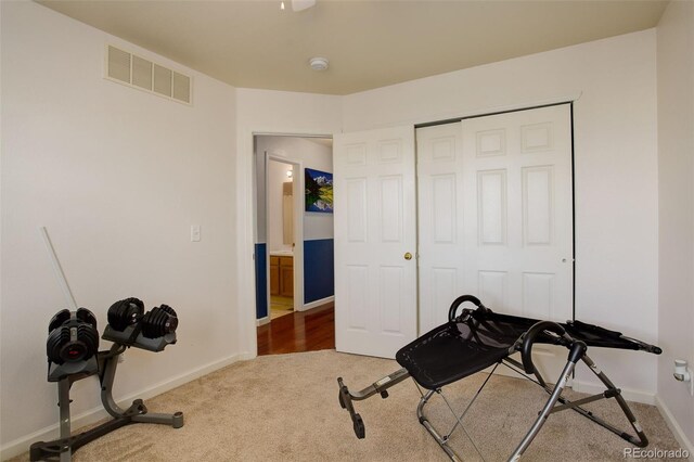 workout room featuring carpet floors