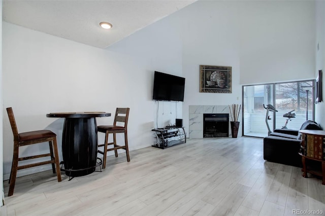 interior space featuring high vaulted ceiling, a high end fireplace, and light hardwood / wood-style floors