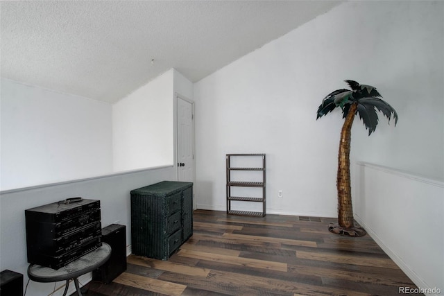 sitting room with a textured ceiling, dark hardwood / wood-style flooring, and lofted ceiling