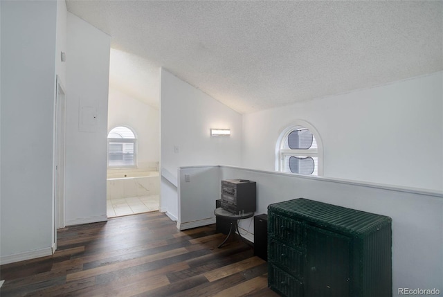 interior space with dark wood-type flooring, a textured ceiling, and lofted ceiling