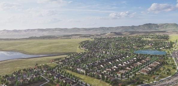 view of yard with a mountain view