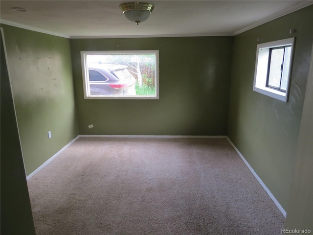 135 E 2nd St, Nederland, CO 80466 - carpeted spare room featuring plenty of natural light and ornamental molding