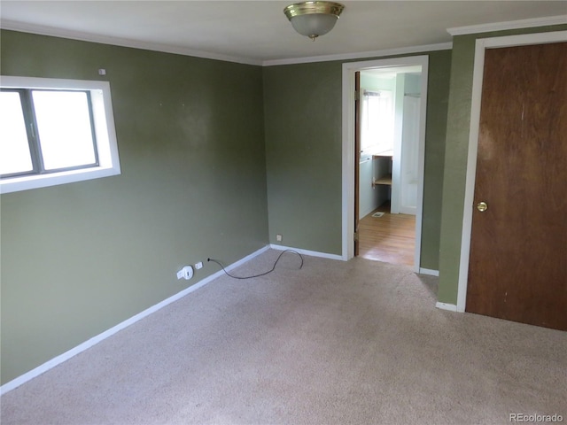 135 E 2nd St, Nederland, CO 80466 - carpeted spare room with ornamental molding and baseboards