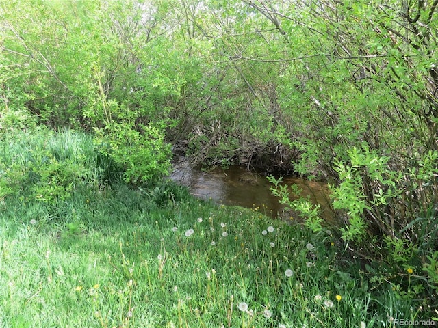 135 E 2nd St, Nederland, CO 80466 - view of undeveloped land