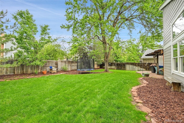 view of yard with a trampoline