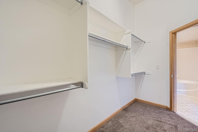 5151 29th St Unit 1906, Greeley, CO 80634 - photo 15