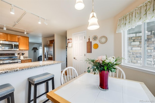 dining space with rail lighting