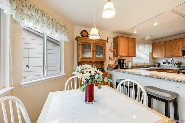 dining area featuring rail lighting and sink