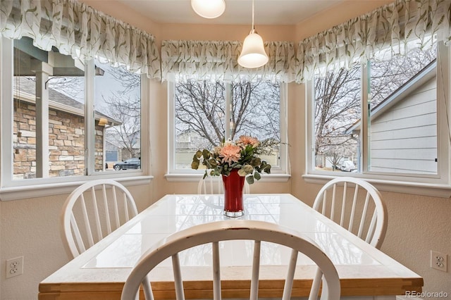 dining space with a healthy amount of sunlight