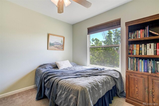 781 S Blakeland Dr, Pueblo, CO 81007 - photo 22