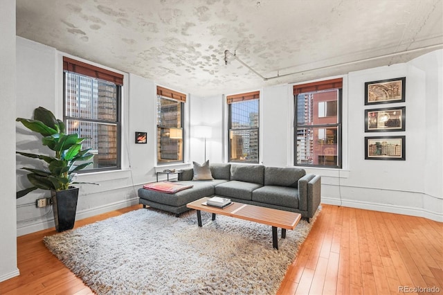 444 17th St Unit 603, Denver, CO 80202 - living room featuring baseboards, light wood finished floors, and a wealth of natural light