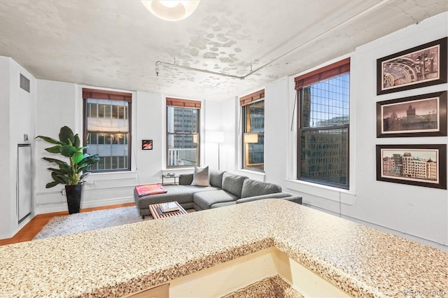 444 17th St Unit 603, Denver, CO 80202 - interior space featuring outdoor lounge area and visible vents